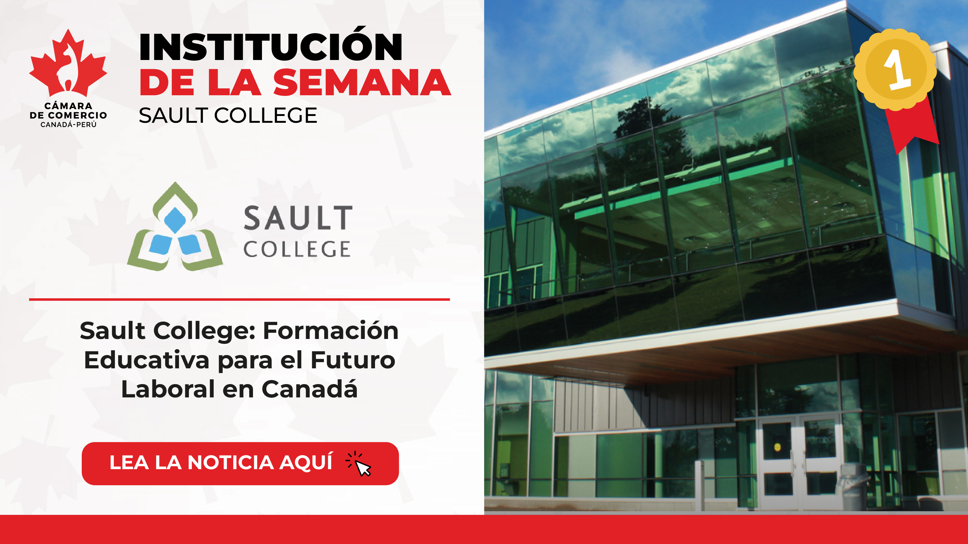 Sault College: Formación Educativa para el Futuro Laboral en Canadá ...