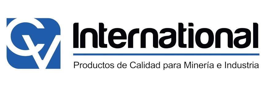 C & V INTERNATIONAL