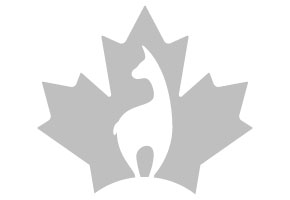 EXP INTERNATIONAL SERVICES INC.