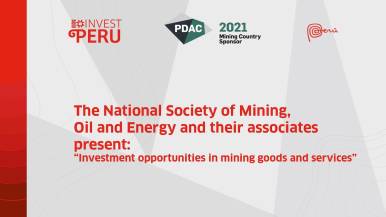 Embedded thumbnail for PDAC 2021 > Agenda > Videos